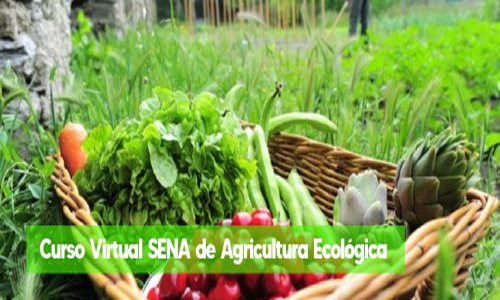 Curso de agricultura ecologica Sena