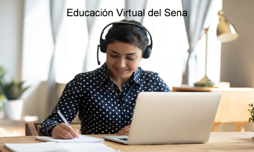 El Sena apoya la educacion virtual