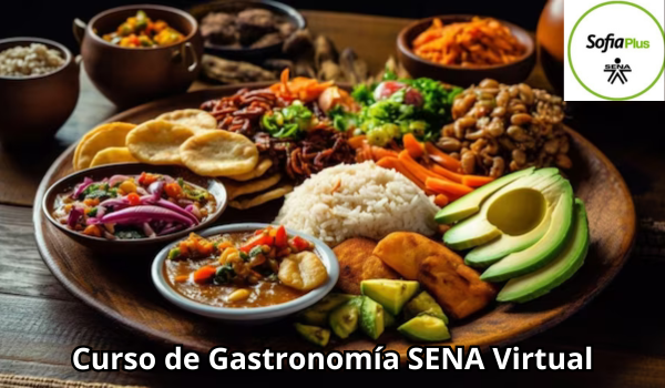 Curso de Gastronomia SENA Virtual